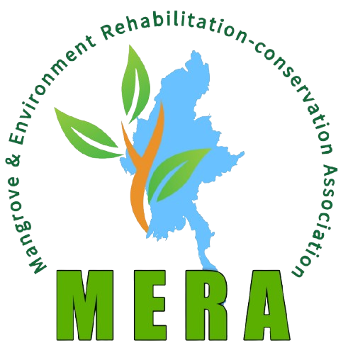 MERN Logo